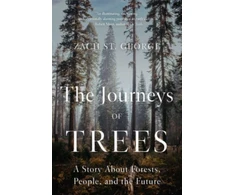 KNYGA Zach St George The Journeys of Trees