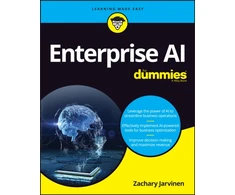 KNYGA Zachary Jarvinen Enterprise AI For Dummies
