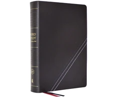 KNYGA Zondervan Publishing KJV, Word Study Reference Bible, Bonded Leather, Juodas, Raudona Letter, Thumb Indexed, Comfort Print