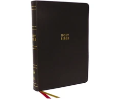 KNYGA Zondervan Publishing NKJV Holy Bible, Super Giant Print Reference Bible, Brown Bonded Leather, 43,000 Cross References, Raudona Letter, Thumb Indexed, Comfort Print: New King James Version