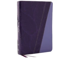 KNYGA Zondervan Publishing NKJV Study Bible, Leathersoft, Violetinė, Full-Color, Comfort Print