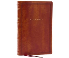 KNYGA Zondervan RSV Personal Size Bible with Cross References, Brown Leathersoft, Thumb Indexed, (Sovereign Collection)