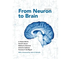 KNYGA A Robert Martin From Neuron to Brain