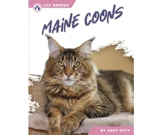 KNYGA Abby Doty Maine Coons