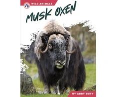 KNYGA Abby Doty Musk Oxen