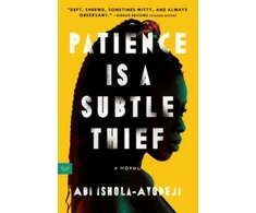 KNYGA Abi Ishola Ayodeji Patience Is a Subtle Thief