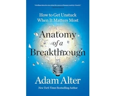 KNYGA Adam Alter Anatomy of a Breakthrough