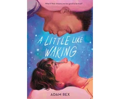 KNYGA Adam Rex Little Like Waking