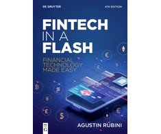 KNYGA Agustin Rubini Fintech in a Flash