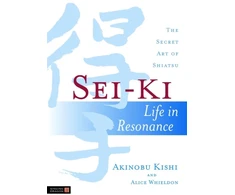 KNYGA Akinobu Kishi Sei-Ki