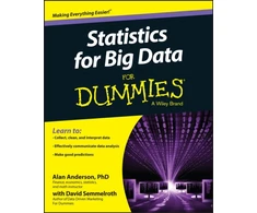 KNYGA Alan Anderson Statistics for Big Data For Dummies