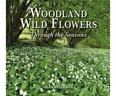 KNYGA Alan Waterman Woodland Wild Flowers