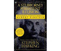 KNYGA Albert Einstein Stubbornly Persistent Illusion