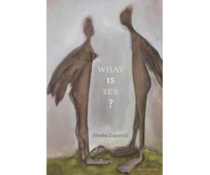 KNYGA Alenka Zupancic What IS Sex?