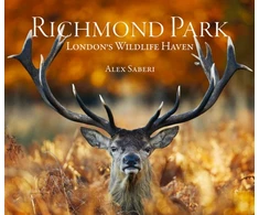 KNYGA Alex Saberi Richmond Park