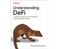 KNYGA Alexandra Damsker Understanding Defi