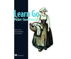 KNYGA Alienor Latour Learn Go with Pocket-Sized Projects