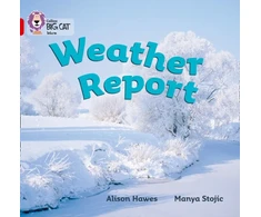 KNYGA Alison Hawes Weather Report