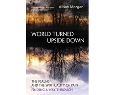 KNYGA Alison Morgan World Turned Upside Down