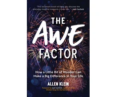 KNYGA Allen Klein Awe Factor