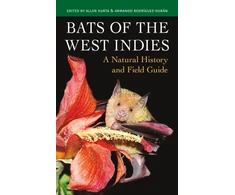 KNYGA Allen Kurta Bats of the West Indies
