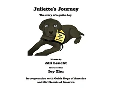 KNYGA Alli Leucht Juliette's Journey