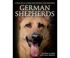 KNYGA Allison Clarke German Shepherds