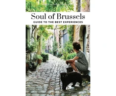 KNYGA Allison Michel Soul of Brussels Guide