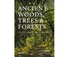 KNYGA Alper H Colak Ancient Woods, Trees and Forests