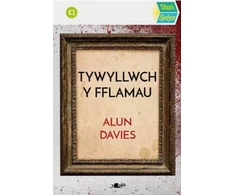 KNYGA Alun Davies Stori Sydyn: Tywyllwch y Fflamau
