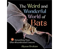KNYGA Alyson Brokaw Weird and Wonderful World of Bats