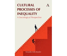 KNYGA Amanda Udis Kessler Cultural Processes of Inequality