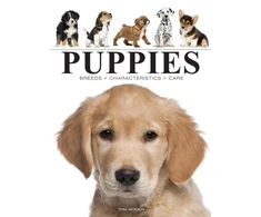 KNYGA Amber Books Puppies