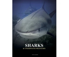 KNYGA Amber Books Sharks and Underwater Predators