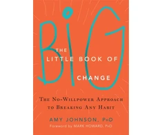 KNYGA Amy Johnson Little Book of Big Change