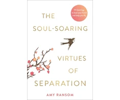 KNYGA Amy Ransom Soul-Soaring Virtues of Separation