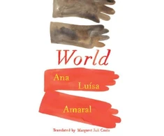 KNYGA Ana Luisa Amaral Pasaulis
