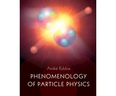 KNYGA Andre Rubbia Phenomenology of Particle Physics