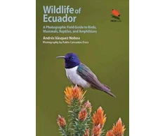 KNYGA Andres Vasquez Noboa Wildlife of Ecuador