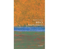 KNYGA Andrew F Cooper BRICS