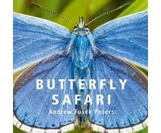 KNYGA Andrew Fusek Peters Butterfly Safari