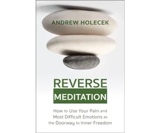 KNYGA Andrew Holecek Reverse Meditation