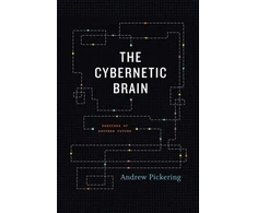KNYGA Andrew Pickering Cybernetic Brain