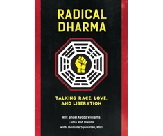 KNYGA Angel Kyodo Williams Radical Dharma
