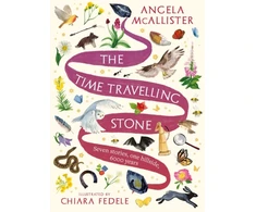KNYGA Angela Mcallister Time Travelling Stone