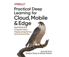 KNYGA Anirudh Koul Practical Deep Learning for Cloud and Mobile