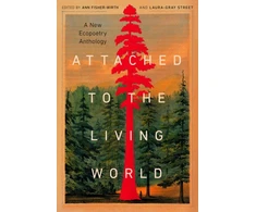 KNYGA Ann Fisher Wirth Attached to the Living World