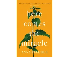 KNYGA Anna Beecher Here Comes the Miracle