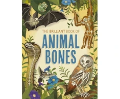 KNYGA Anna Claybourne Brilliant Book of Animal Bones