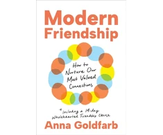 KNYGA Anna Goldfarb Modern Friendship